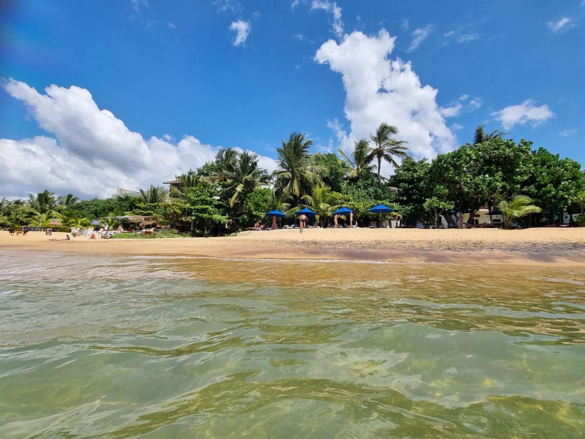 Gasthaus Langeoog Unawatuna Zewnętrze zdjęcie